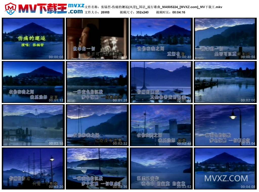 张镐哲-伤痛的邂逅(风景)_国语_流行歌曲_MA505224